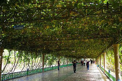 《死亡之屋：重制版》还将登陆Stadia和更多平台